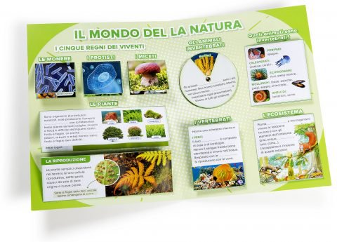lapbook-scienze-cl4__7911-480x345.jpg